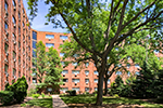 Site 201001, 8503 W. Catherine Ave., Chicago, IL